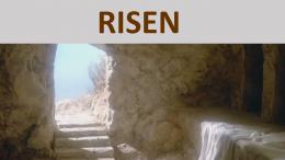 RISEN